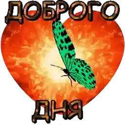 пнм6