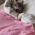доброе утро!