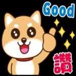 Q版柴犬日常實用貼圖