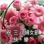 祝 三八婦女節 快樂