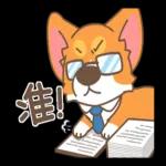 柯基犬椪椪懂吃懂吃！