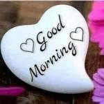 have good day flowers