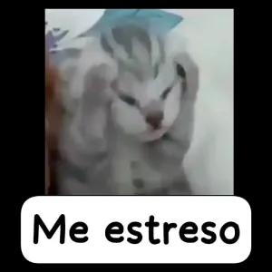 4wgZMK
