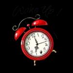 Just want to tell you I love you