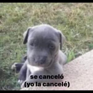 DOjlnc