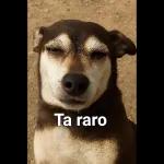 potaxuee