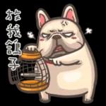 法鬥皮古-豬朋狗友 