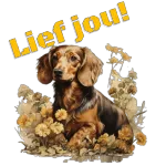 lief jou