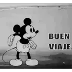 Buen viaje