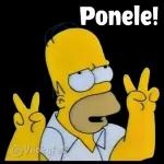saris bb