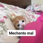 cajdbdk