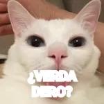 memes
