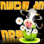 שבועות