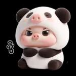 หมูแพนด้าน่ารักจังเลย