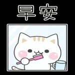 善解人意的小貓貓