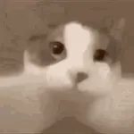 ¡Mira mi culito!