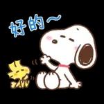 PEKO醬☆冬季繽紛