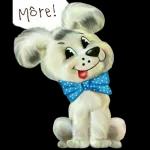 Môre Seën vir jou dag