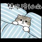 愛撒嬌的奶油小生 (虎斑貓)