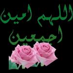 نسانهاییصباح الخ
