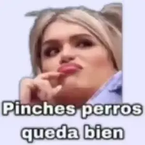 Pk8XOX