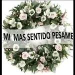 Te amo mucho mi amor  🥰 