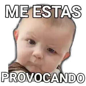 kasy49p