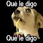 paquete 5