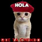 Buenas Buenas