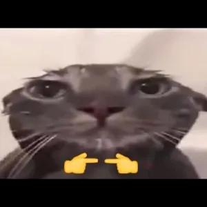 uQHEJ4