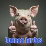 Buenas tardes