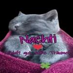 nachtiiiii