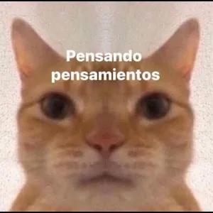 ow9dQJ