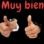 Muy bien 