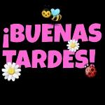 30 ¡BUENAS TARDESI