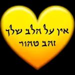 יאיר רומר כאור החמה