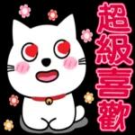 阿喵很日常的聊天貼圖