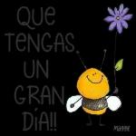 BUENOS DIAS BUENOS DIAS