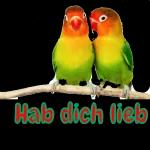 Hab dich lieb