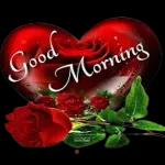 A new day with ...❤️🌞