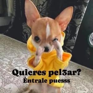 Quieres pelzar? Entrale puesss - getsticker.com