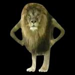 JAh caray, esosi me interesa