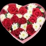 من الذي فاتك؟