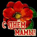 С ДНЕМ МАМЫ!