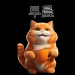 可愛的橘色肥貓!