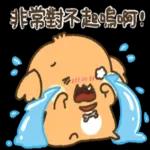 貴賓狗妞妞-好禮貌好親切