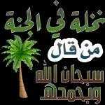 كلّو ورااااايح