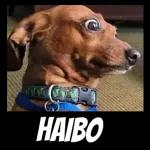 But baby... I miss you