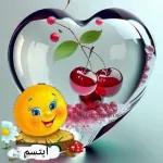 ملصقات وتس 