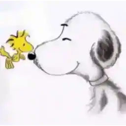 Snoopy✌️✌️